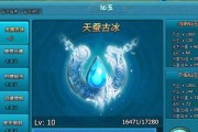 《梦幻飞仙宠物培养攻略》（如何成为顶级仙宠大师）