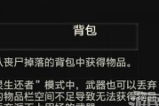 《生化危机2重制版》背包位置与容量扩充攻略（全方位攻略详解）