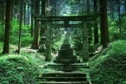 探寻小森生活的神社（神社的位置及前往方法）