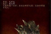 《魔女之泉3》野猪玩偶坐骑解析（魔法世界的最萌伙伴、一起嗨到天亮吧）