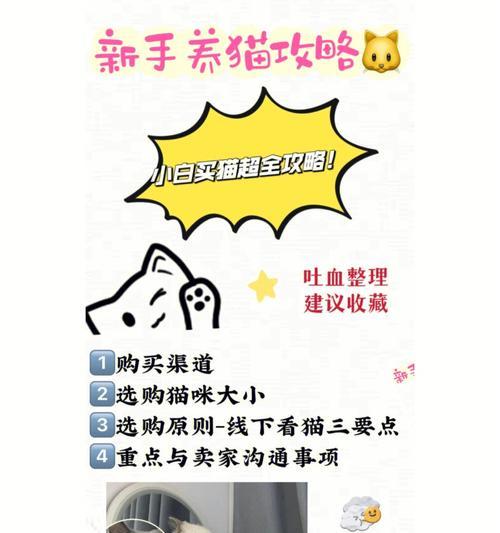 《猫之城灵棰惊竹》解析（一款以猫为主题的游戏）