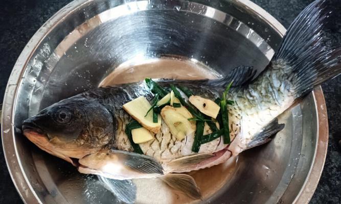 《天涯明月刀手游干烧鲫鱼食谱——烹饪系统中的美食探索》（游戏中的烹饪技能）